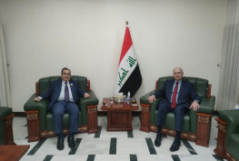أسامة عبد العزيز النجيفي