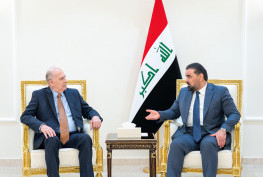 أسامة عبد العزيز النجيفي