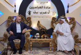سنان أسامة النجيفي