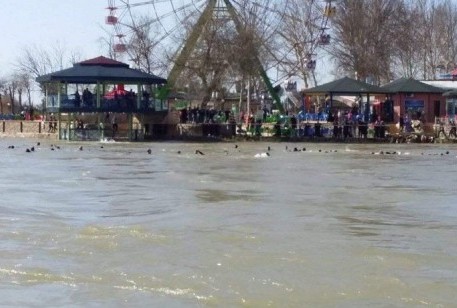 حادثة غرق عبارة الجزيرة السياحية